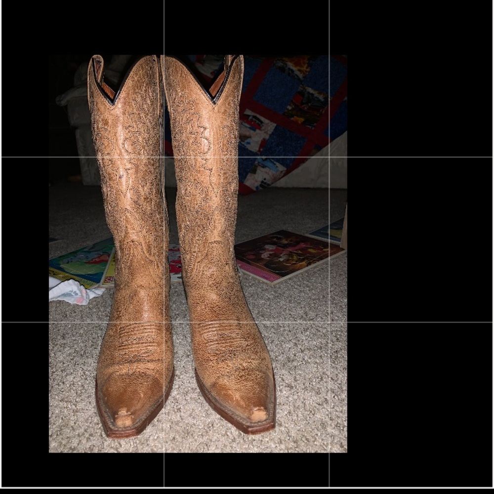 Dan post cowgirl boots